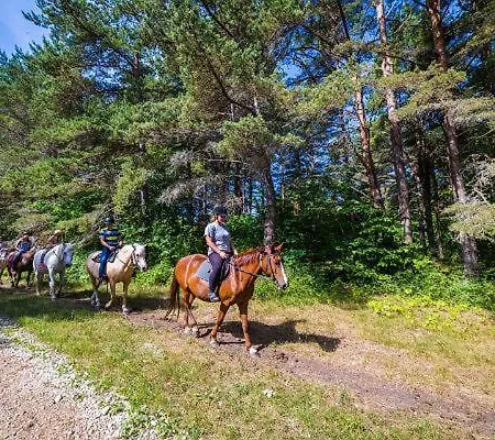 Juniper House In Kassari With Sauna Chalet HIIUMAA