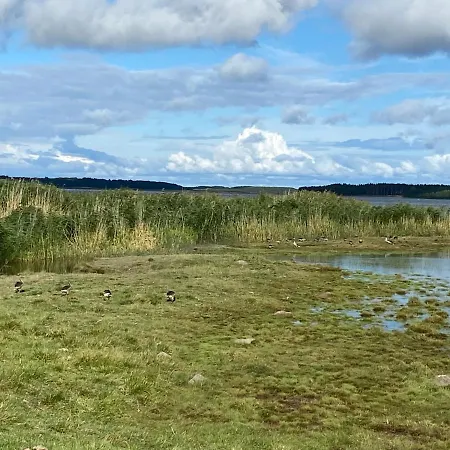 Juniper House In Kassari With Sauna Chalet