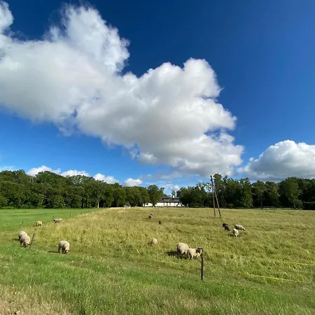 Juniper House In Kassari With Sauna *