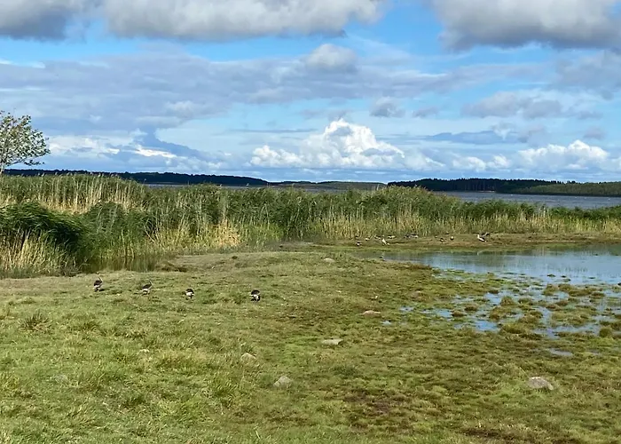 Juniper House In Kassari With Sauna Domek alpejski