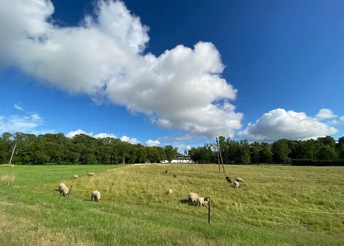 Juniper House In Kassari With Sauna *